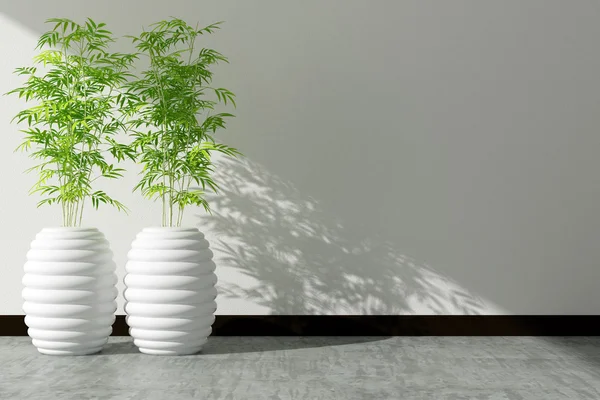 Pot d'arbre et mur blanc intérieur décoré — Photo