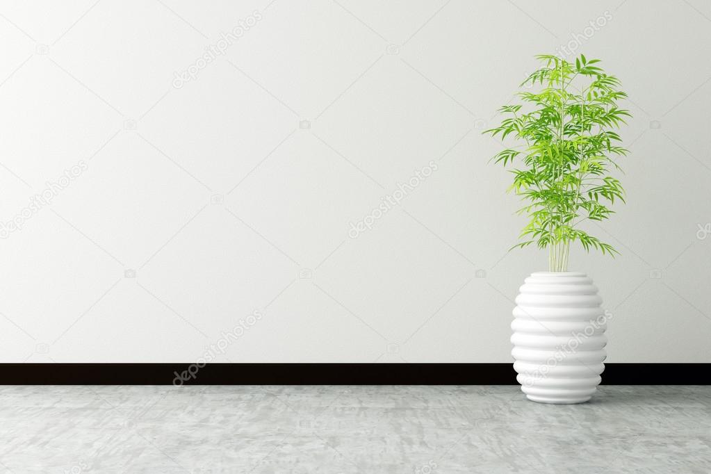tree pot and white wall interior decorated