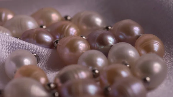 Pearls necklace on silk fabric — Stock Photo, Image