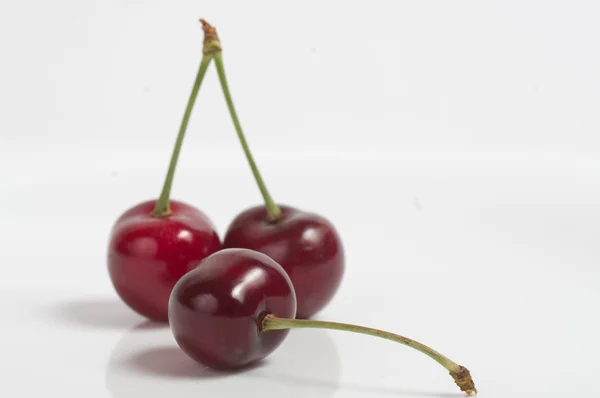 Cerezas sobre fondo blanco —  Fotos de Stock