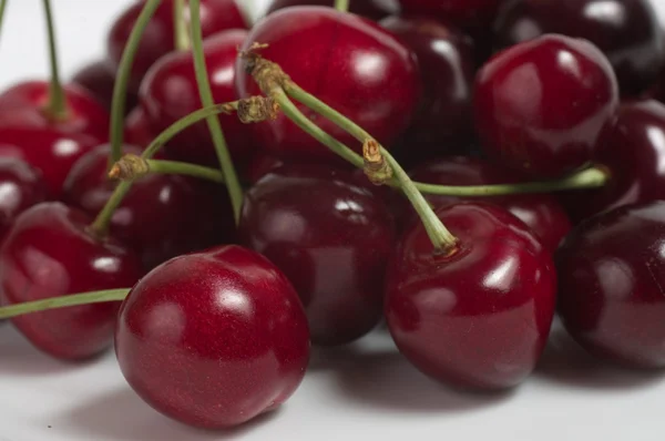 Cerezas sobre fondo blanco —  Fotos de Stock