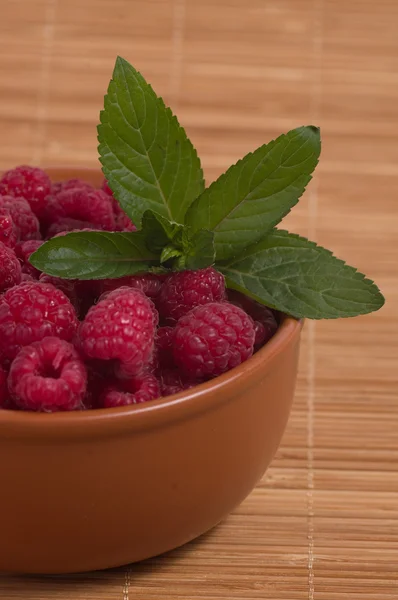 Raspberies with mint in bowl — Stock Photo, Image