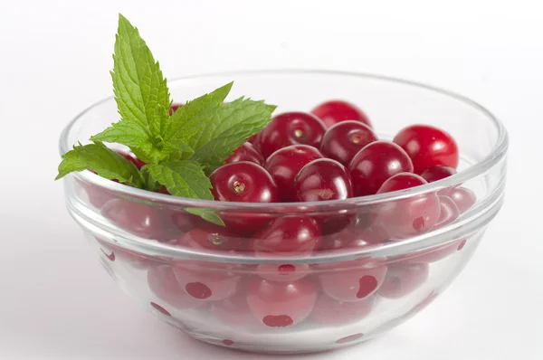 Cherries with mint on plate — Stock Photo, Image