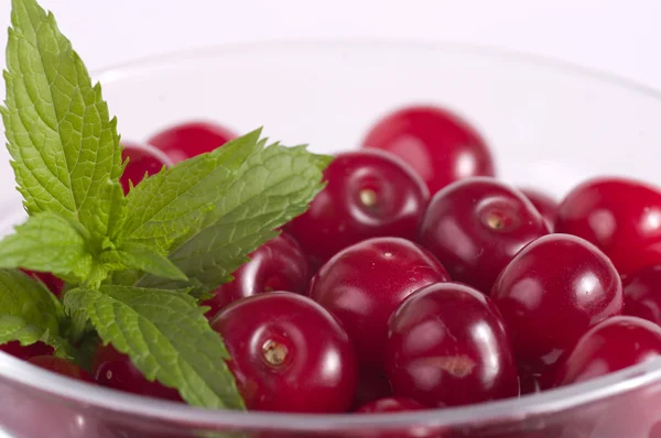 Cherries with mint on plate — Stock Photo, Image