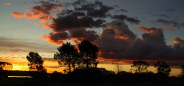 johannesburg giden yolda bulutlu gökyüzü
