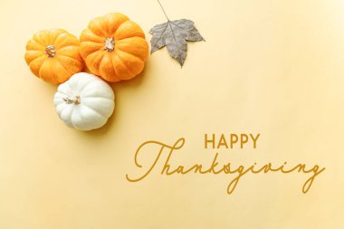 Balkabağı, akçaağaç yaprağı ve fındıklı Şükran Günü 'n kutlu olsun.