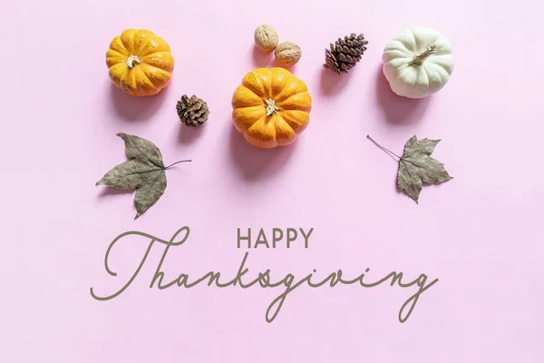 Happy Thanksgiving Day Mit Kürbis Ahornblatt Und Nuss — Stockfoto