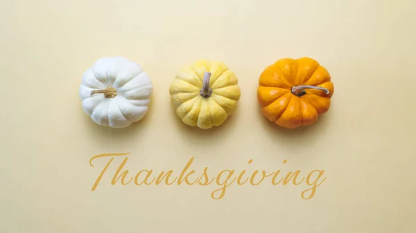 Happy Thanksgiving Day Mit Kürbis Und Nuss Auf Gelbem Hintergrund — Stockfoto