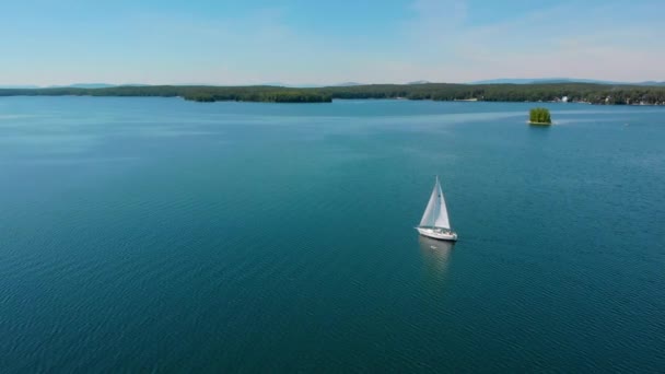 Luftaufnahme eines Segelbootes, das an einem sonnigen Morgen allein auf einem weiten, blauen See spaziert. Schöner klarer blauer Himmel. Grüne dichte Vegetation am Ufer. Friedliche Atmosphäre. Segeln. Ein luxuriöses Leben — Stockvideo