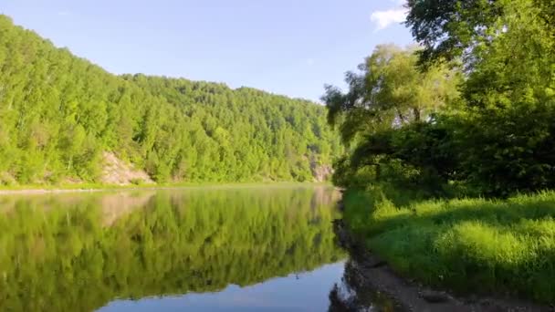 Αεροφωτογραφία του ποταμού, South Ural, Ρωσία. Ένα θυελλώδες ποτάμι με σκούρο χρώμα ρέει ανάμεσα σε ένα ψηλό λόφο με πυκνά καταπράσινα δέντρα και ένα χαμηλό λιβάδι. Μικρά γκρίζα σύννεφα κινούνται στον γαλάζιο ουρανό. Καλοκαίρι — Αρχείο Βίντεο