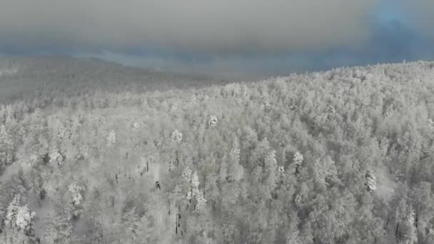 Luftaufnahme von gefrorenem Wald mit schneebedeckten Bäumen auf dem Berg im Winter. Märchenwald, schneebedeckte, frostige Bäume. Tourismus und Reisen. Ansicht von oben — Stockvideo