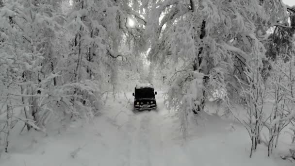 Luchtfoto van zwarte SUV rijden door diepe witte schone sneeuw langs pad in de bergen tussen de bomen. De jeep komt vast te zitten tussen besneeuwde bergen en hoge dennen en sparren. Extreem reizen, toerisme — Stockvideo
