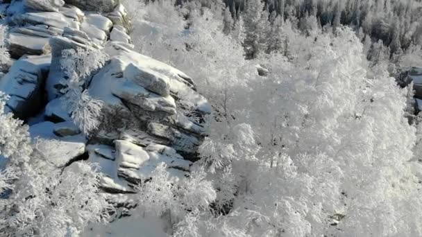 Вид с воздуха на снежную вершину горы зимой. Сосны и ели покрыты зимним снегом и скрывают каменные плиты горы. Красивые персики горной гряды — стоковое видео