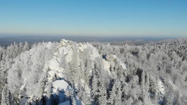 Widok z lotu ptaka na ośnieżony szczyt góry w zimie. Sosny i świerki pokryte są zimowym śniegiem i ukrywają kamienne płyty górskie. Szczyty piękna pasma górskiego — Wideo stockowe