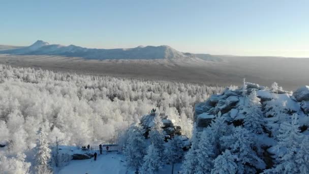 Widok z lotu ptaka na zaśnieżony las zimowy z górami w tle. Sosny i świerki pokryte są zimowym śniegiem. Mroźny wschód lub zachód słońca. Turyści spacerują i podziwiają szczyty pasma górskiego — Wideo stockowe