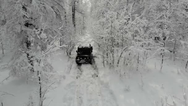 Widok z lotu ptaka czarnego SUV-a przejeżdżającego przez biały śnieg wzdłuż szlaku w górach między drzewami. Jeep utknął między śnieżnymi górami, wysokimi sosnami i jodłami. Ekstremalne podróże, turystyka — Wideo stockowe
