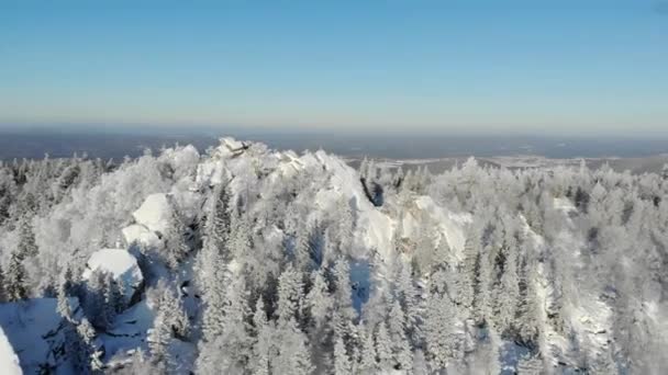 Vue aérienne du sommet enneigé de la montagne en hiver. Les pins et les épicéas sont recouverts de neige hivernale et cachent les dalles de pierre de la montagne. Les sommets beauté de la chaîne de montagnes — Video