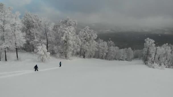 Vista aérea de las pistas de la estación de esquí. Snowboarders van por la pista que está cubierta de nieve. La pendiente se encuentra entre árboles empolvados de nieve. Reposo activo, snowboard, esquí de montaña — Vídeo de stock