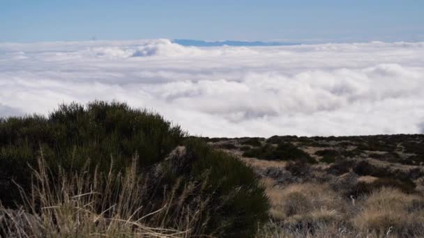 Bulutlar ve sis katmanlardan oluşur ve gökyüzünde yavaşça hareket eder. Harika zamanlama. Sabah gökyüzünde bulutların hareketliliği. Video çekimini zamanlandır — Stok video
