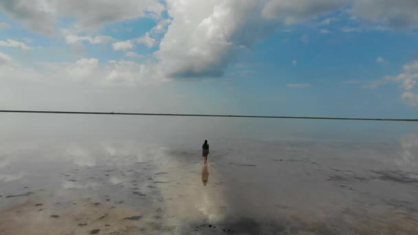 Вид з повітря на бежеве солоне озеро. Жінка в сукні ходить по воді, наче на дзеркалі. Вода озера відображає блакитне небо і плаваючі хмари. Унікальна природа. Покинутий — стокове відео