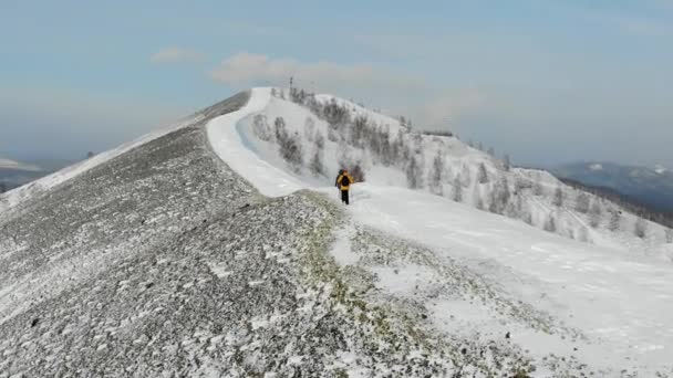 L'uomo e la donna camminano lungo il sentiero sulla cima di una collina innevata. L'uomo con la giacca gialla cammina con i bastoni. Nordic walking. Si possono vedere alberi di neve e lago in lontananza. Vista aerea — Video Stock