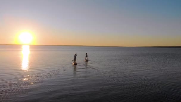 Frauen laufen auf Surfbrettern über das Wasser. Freunde schwimmen geschmeidig auf dem Wasser des Sees oder Meeres und rudern mit Rudern. Sonnenuntergang oder Sonnenaufgang sind in der Ferne zu sehen. Sonne bildet sonnigen Pfad auf dem Wasser. Luftaufnahme — Stockvideo