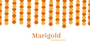 Zarif Sarı Hint Vektörü Marigold Çiçek Çiçekleri Arka planı. Hindu dini ayini ya da düğünü için gür taç yapraklı muhteşem turuncu çiçek süslemesi. Beyaz arkaplanda izole edilmiş renkli bir daire