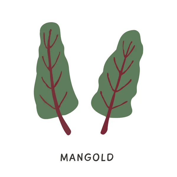 天然有機マンゴールド植物はベクトルイラストを残します。シンプルなフラットカラーのカードスパイス成分がドアスタイルで。葉と茎が白い上に隔離された健康的なビタミン食品。鉄源食品. — ストックベクタ
