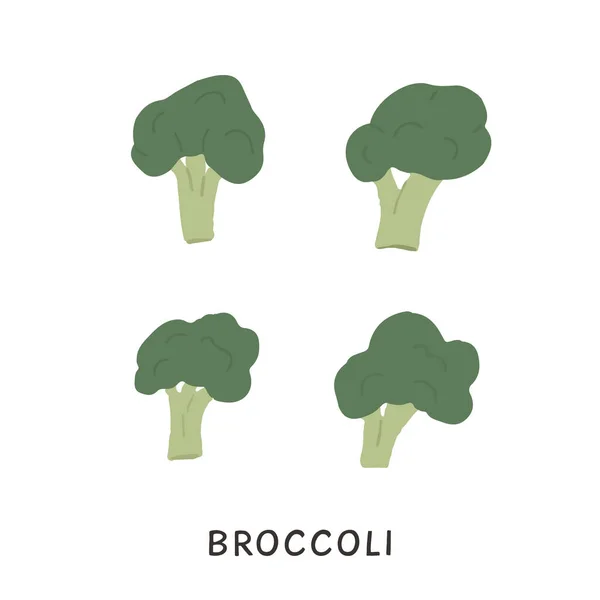 茎や先端が異なる形のブロッコリーのセット。緑豊かな頭と茎を持つブロッコリー。緑のブロッコリーの野菜。新鮮な健康的なベジタリアン料理。白で単離された野菜のベクトル図. — ストックベクタ