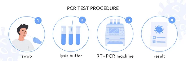 Тестовая процедура Ковид-19 Инфографика. Врач в латексных перчатках делает анализ носа. Пациент мужского пола проводит коронавирусное тестирование. Обмен образцами в буфере лизиса, машине ПЦР RT и сертификате. Вектор. — стоковый вектор