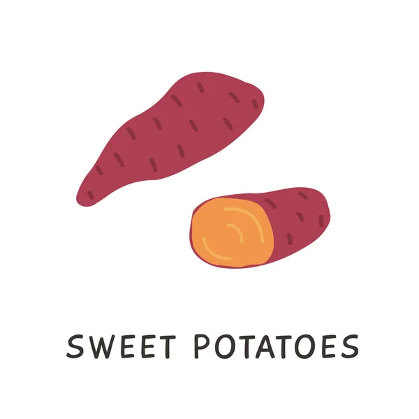 芋の甘さ。手描きのシンプルな野菜成分。農業市場やメニューのための健康的な根菜のアイコン。カラーフラットドア要素。白地に独立したベクトル図. — ストックベクタ