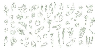Renkli sebze karalaması, pastel boyayla çizilmiş. Elle çizilmiş bahçe, sağlıklı gıda markaları, ambalajlar ve desen tasarımı için ikonlar üretiyor. Vektör illüstrasyonu beyaz arkaplanda izole edildi