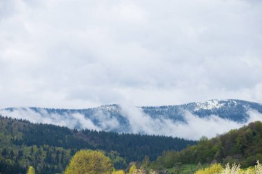 Bahar sabahının erken saatlerinde bulutlu gökyüzü karla kaplıydı.
