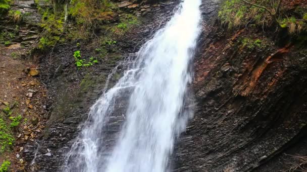 Vackert vattenfall i grön fjällskog — Stockvideo