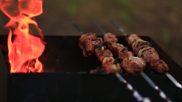 串の上の豚肉は、屋外で燃える石炭とグリルで調理されています — ストック動画