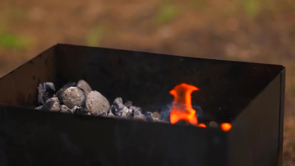 Barbecue előkészítése égő parázzsal grillezéshez. Fa rönk éget — Stock videók