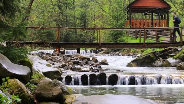 Turist man med ryggsäck promenader i höstskogen med träbro över floden — Stockvideo