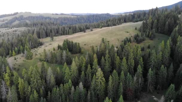 Widok z lotu ptaka na las i góry, punkt drona. Inspirujące jesienne tło krajobrazu sezonu. — Wideo stockowe