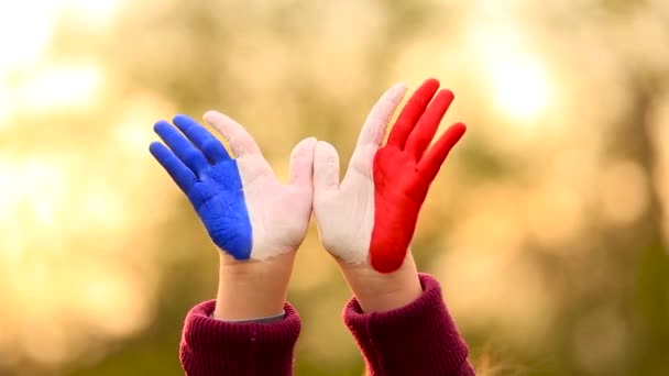 Freedom France concept. Cute child forming flying bird gesture with painted in France colors hands at bright sunset. — Stock Video
