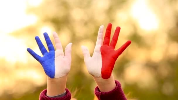 Радостная девушка размахивает руками, раскрашенными цветами флага Франции, и здоровается — стоковое видео