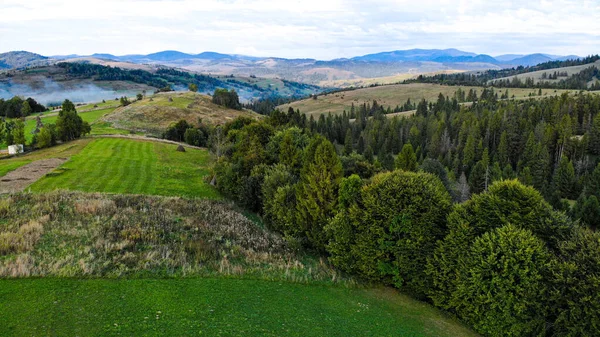 Drohnenaufnahmen der sommerlichen Berglandschaft. Luftaufnahme des panoramischen Überblicks der Natur grüner Baumwald. — Stockfoto