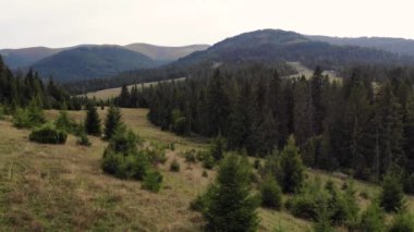  Yeşil çayır ve ormanın üzerinde yaz dağları manzaralı havadan uçuşlar.