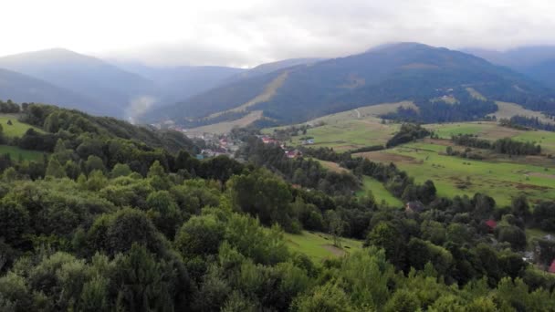 Εναέρια drone άποψη του πράσινου δάσους στο βουνό το καλοκαίρι με ματιά στο χωριό — Αρχείο Βίντεο