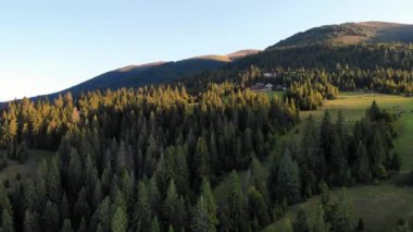 Orman ve dağların havadan görünüşü. İlham verici sonbahar sezonu manzarası.