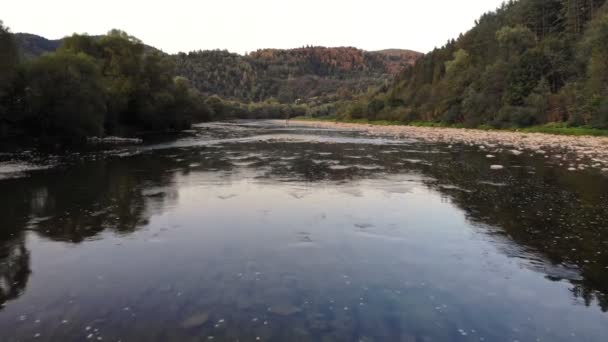 Vue aérienne. Vol bas au-dessus d'une rivière de montagne fraîche et froide au matin ensoleillé d'été avec forêt fraîche autour — Video