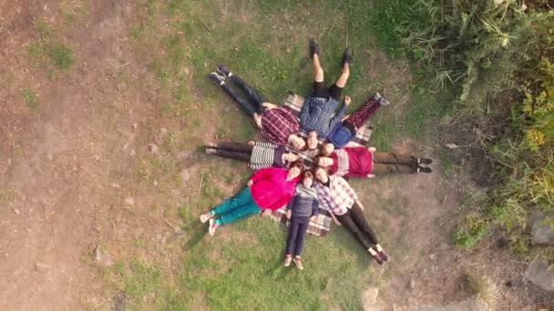 Luftaufnahme von oben nach unten Drohnen-Ansicht der Gruppe Menschen liegen auf Gras wie Sterne, Freunde haben gute Zeit zusammen im Freien im Frühling Park in der Nähe des Sees — Stockvideo