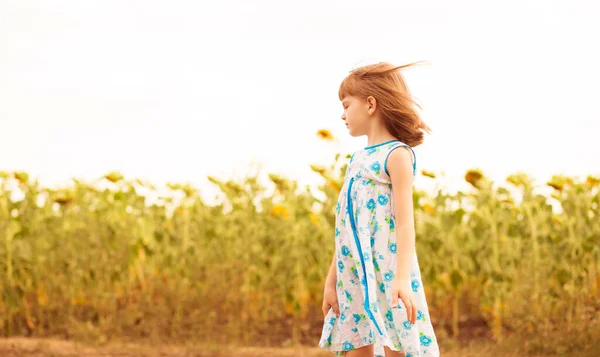 Menina adorável 6 anos de idade caminhar no campo de verão com girassóis. Conceito de liberdade e infância. — Fotografia de Stock