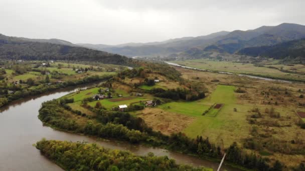 Vista aérea de aguas cristalinas en un río de bosque montañoso con pinos en bosque montañoso. Vuelo sobre el prado de montaña. — Vídeos de Stock