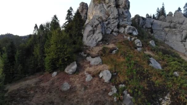 Luftaufnahme der berühmten Tustan-Festung. Ukrainisches mittelalterliches Felsendenkmal im Nationalpark. Felsenkomplex von Tustan ist beliebtes touristisches Wahrzeichen in den Karpaten. — Stockvideo