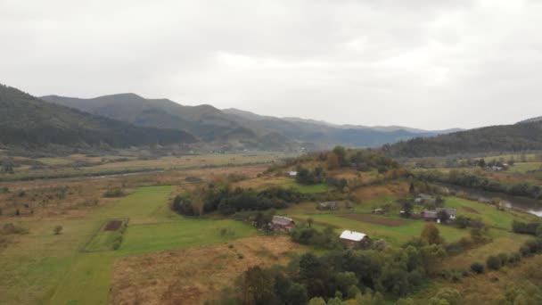 Flygfoto över kristallklart vatten i en fjällskogsflod med tallar i fjällskog. Flyg över fjälläng. — Stockvideo